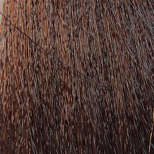 SERGIO PROFESSIONAL Крем-краска для волос Color&Blonde ТОН - 4.53 коричневый махагон золотистый, 100 мл