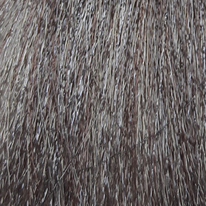 SERGIO PROFESSIONAL Крем-краска для волос Color&Blonde ТОН - 8.21 блондин жемчужный, 100 мл